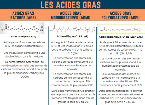 Acides gras AGS AGMI AGPI