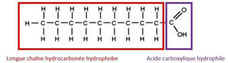 chaines hydrocarbonées
